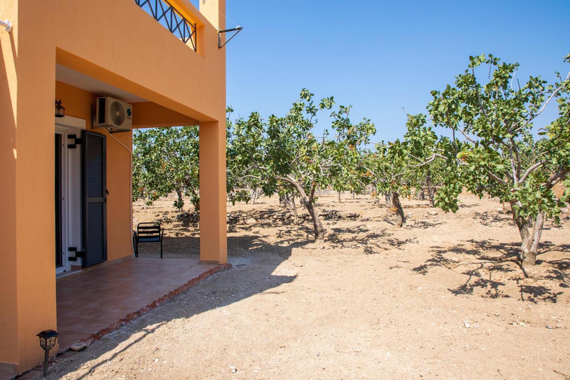 Nick'S House Villa Aegina Exterior photo
